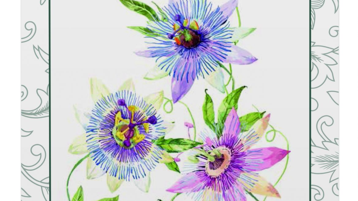 Saatgut - Samentütchen - Passionsblume - Franks kleiner Garten