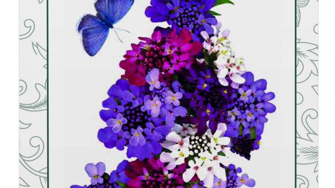 Saatgut - Samentütchen - Schleifenblumen - Mischung - Bees - Franks kleiner Garten