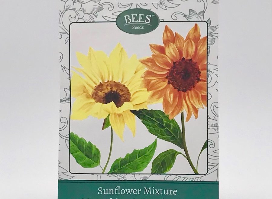 Saatgut - Samentütchen - Sonnenblume - Mondschein & Nachmittagssonne - Bees Seeds - Franks kleiner Garten