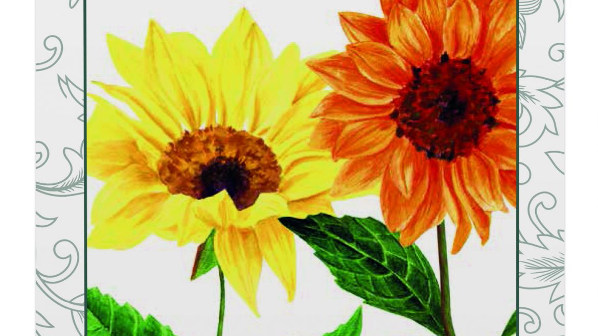 Saatgut - Samentütchen - Sonnenblumenmischung - Mondschein & Abwendasonne - Franks kleiner Garten
