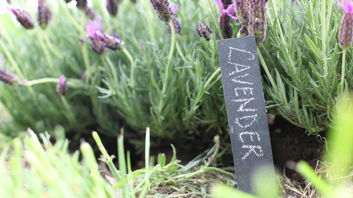 Schiefertafeln "Cottage Garden" – Antik-Look - Praktisch - Edel - mit Stift - lifestyle - Franks kleiner Garten
