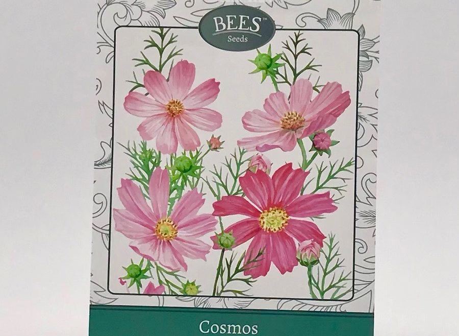 Schmuckkörbchen - Cosmea - Gestreifte Mischung - Samentütchen - Saatgut - samen - BEES Seeds - Franks kleiner Garten