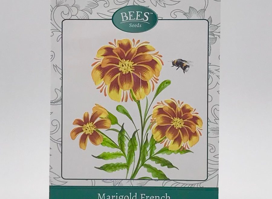 Studentenblume - Dwarf Double Mixture - Saatgut - Samentütchen - samen - BEES Seeds - Franks kleiner Garten