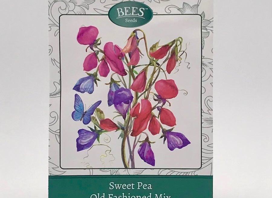 Wicken - Samen - Saatgut - Samentütchen - BEES Seeds - Franks kleiner Garten
