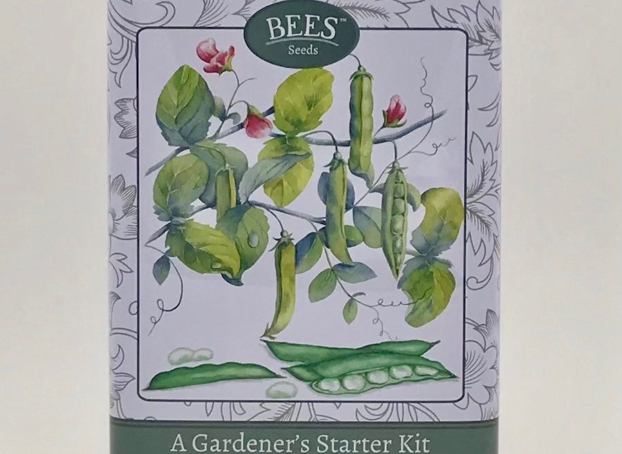 A Gardener's Starter Kit - Climbing Pods - Saatgut - Anfänger -Bohnen - BEES Seed - Franks kleiner Garten