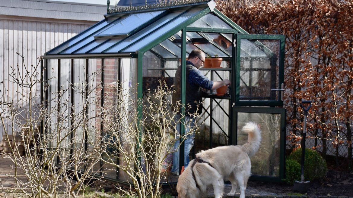 Gewächshaus - Hoklartherm - März - Bruno - Franks kleiner Garten