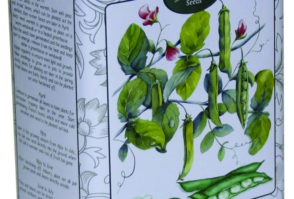 Saatgut - Gardener Stater Kit - Bees - Bohnen - Erbsen - Dose - Franks kleiner Garten