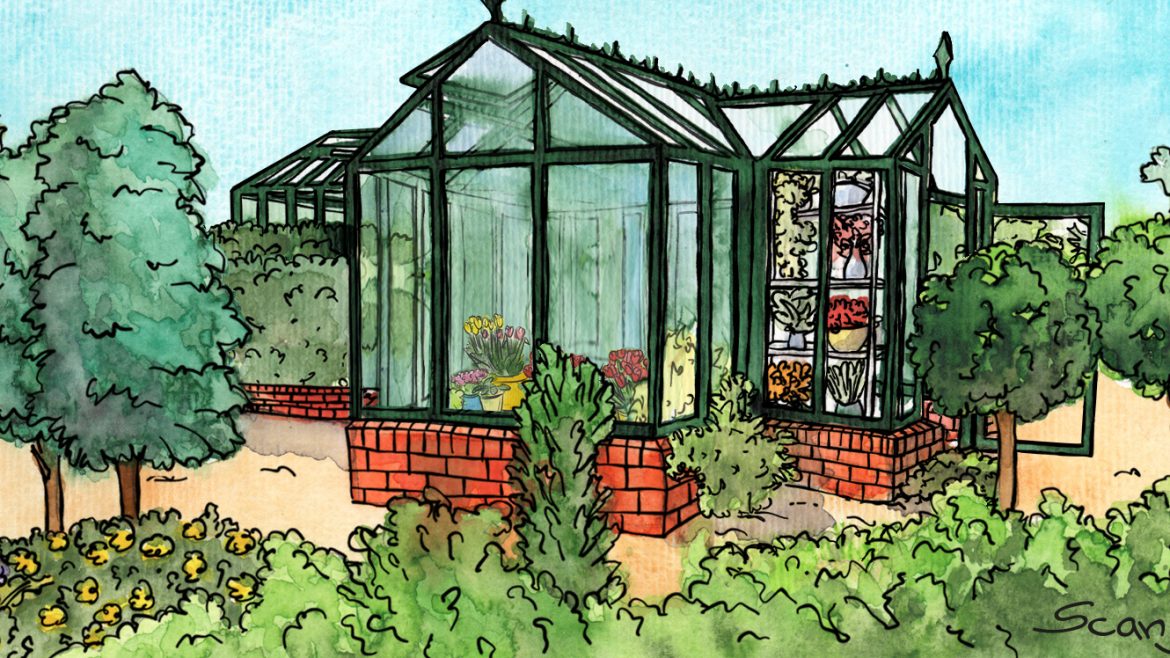 Gewächshaus - Hoklartherm - April - Illustration. Franks kleiner Garten