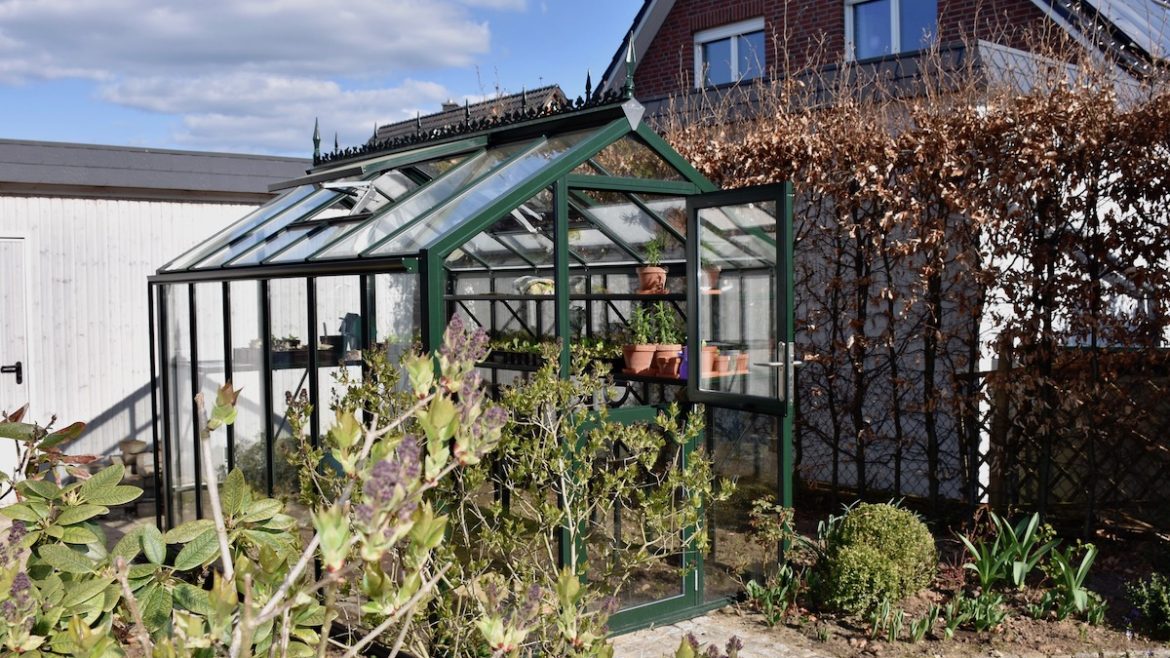 Gewächshaus - Hoklarthern - T-linie - Lüften - Tür - Fenster - Franks kleiner Garten