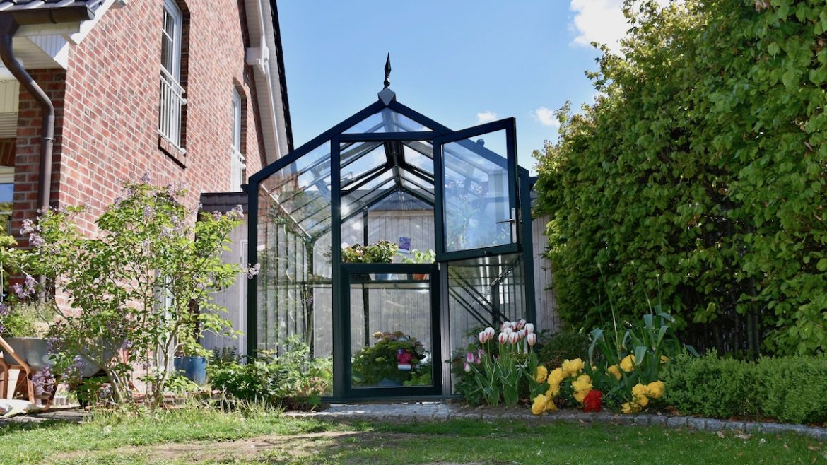 Gewächshaus - Hoklartherm - Mai - Franks kleiner Garten