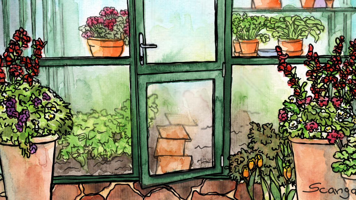 Gewächshaus - Hoklartherm - Illustration - Mai - Franks kleiner Garten