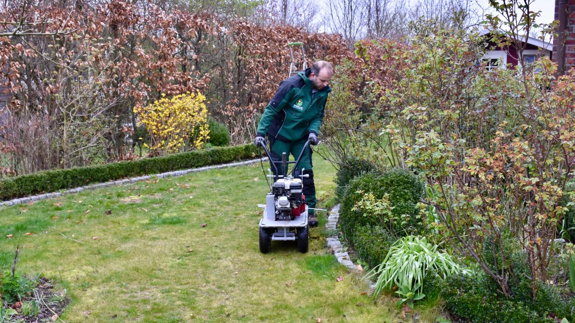Stihl - iMow - Begrenzungsdraht - Rasen - Frühling - Arbeiten - Franks kleiner Garten