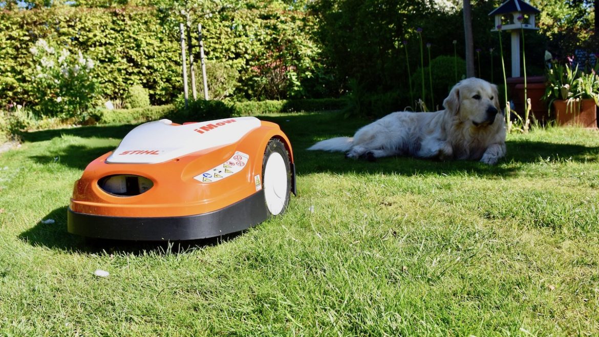 Stihl - iMow - Bruno - Garten - Frühling - Rasen - Franks kleiner Garten