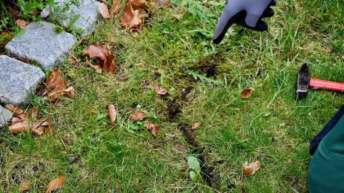Stihl -iMow - Mähroboter - Rasen - Furche - Begrenzungsdraht - Garten - Franks kleiner garten