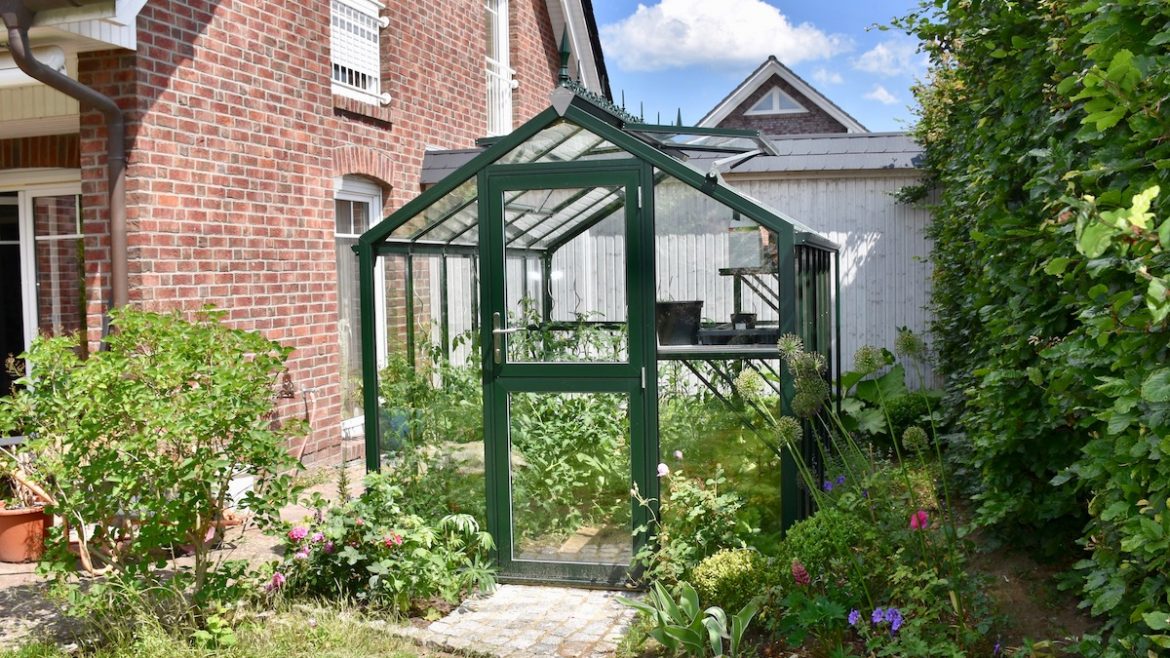 Gewächshaus - Hoklartherm - Juni - Franks kleiner Garten