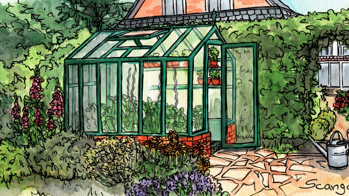Gewächshaus - Hoklartherm - Juni - Illustration