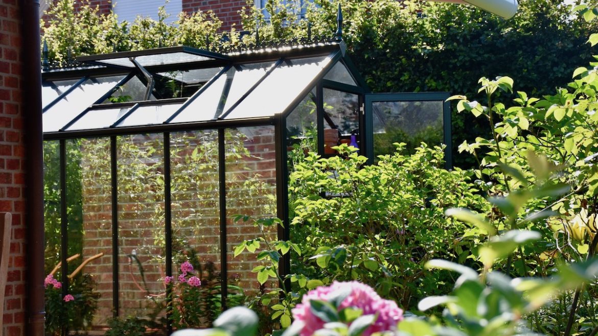 Gewächshaus - Hoklartherm - Sommer - Spiegelung - Hitze - Franks kleiner Garten