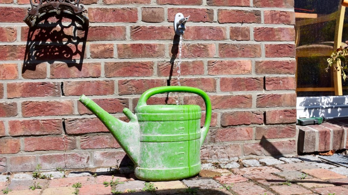 Gewächshaus - Hoklartherm - Giesskanne - Wasser - Wässern - Franks kleiner Garten