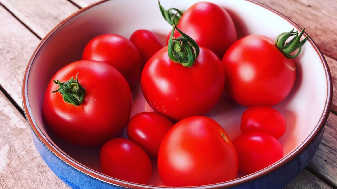 Tomatenernte - Tomaten - Gewächshaus - Hoklartherm - Franks kleiner Garten
