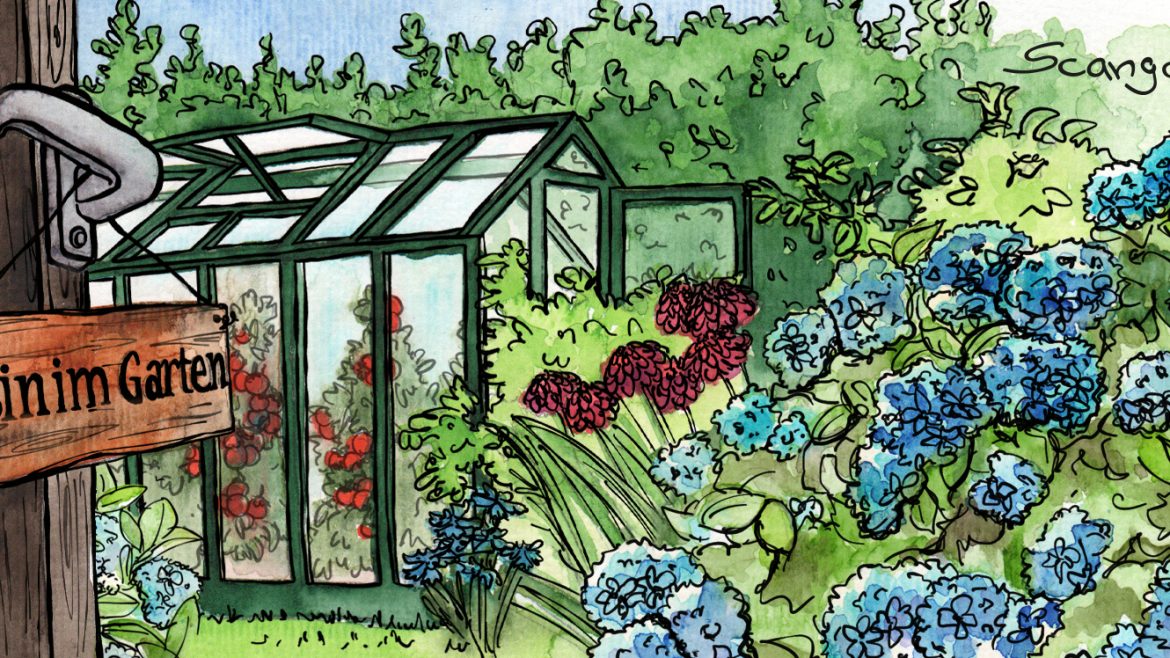 Gewächshaus - Hoklartherm - August - Illustration - Franks kleiner Garten