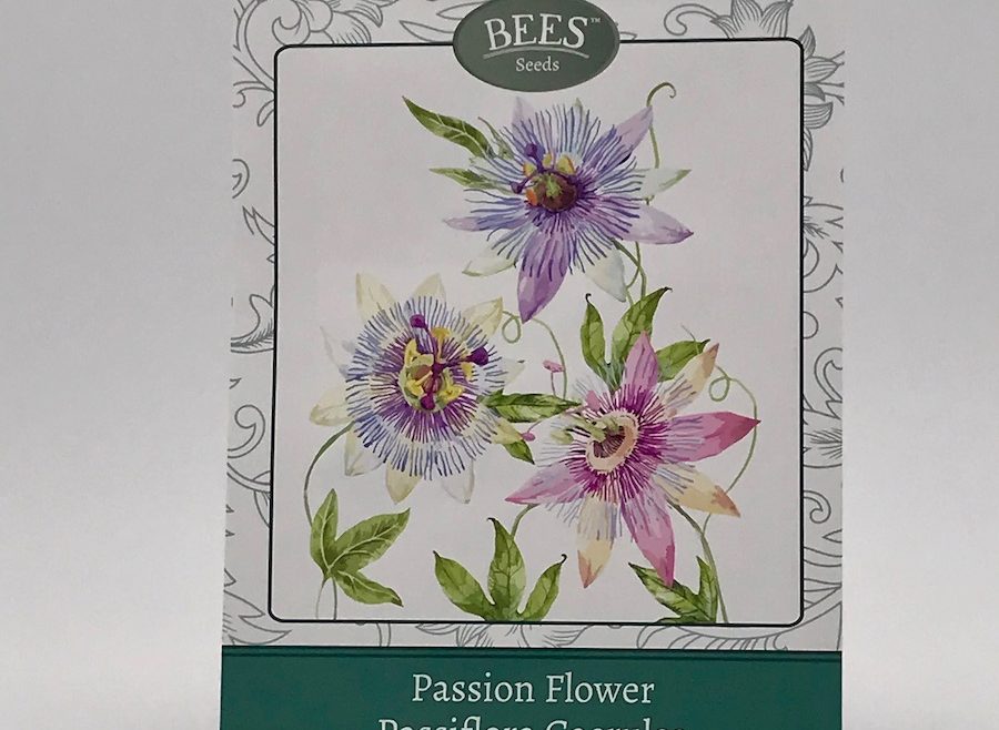 Passionsblume - BEES Seeds - Samen - Franks kleiner Garten