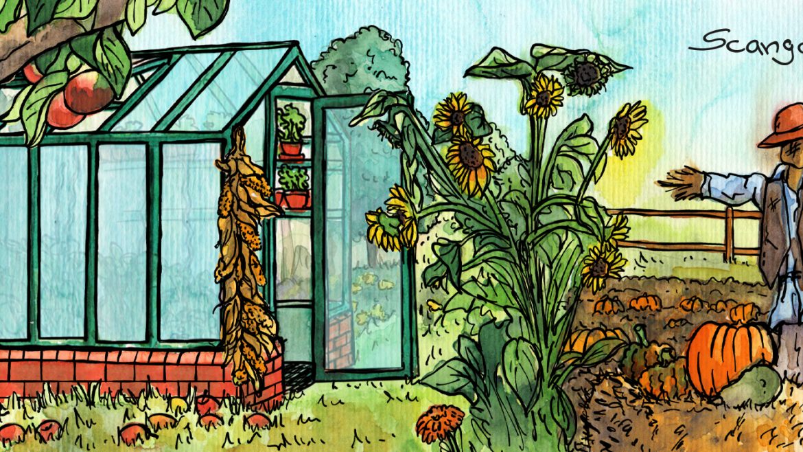September - Illustration - Gewächshaus - Hoklartherm - Franks kleiner Garten