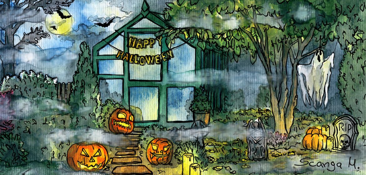 Gewächshaus - Hoklartherm - Halloween - Oktober - Franks kleiner Garten