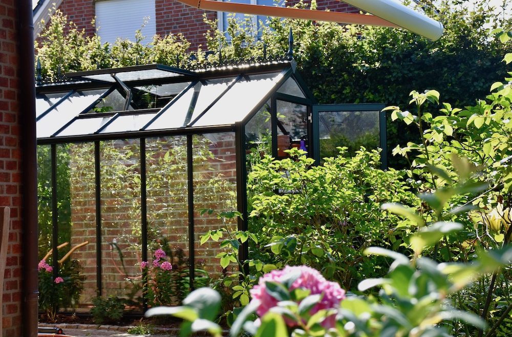 Gewächshaus - Hoklartherm - Oktober - Kübelpflanzen - Lüften - Fensterheber - Franks kleiner Garten