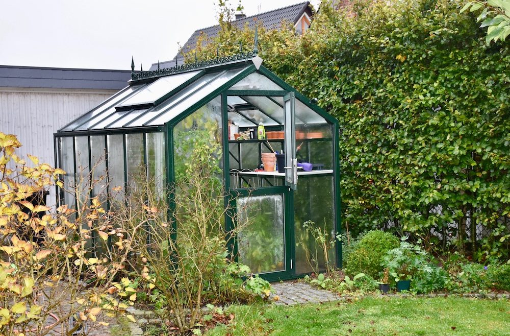 Hoklartherm - Gewächshaus - Oktober - Herbst - Franks kleiner Garten
