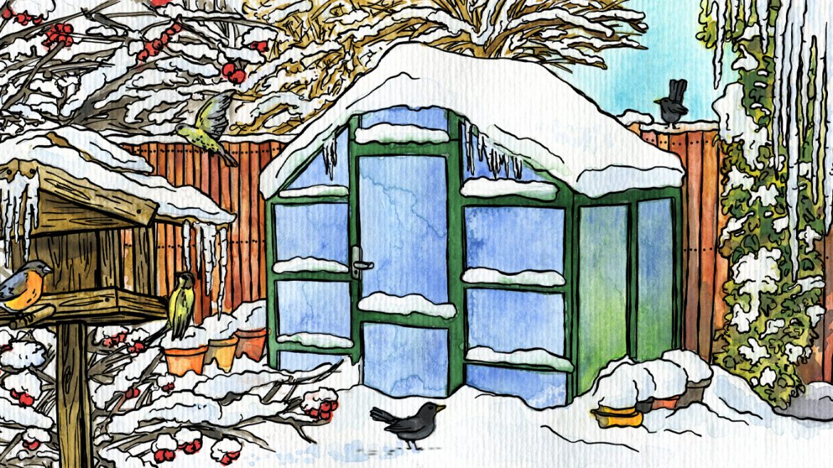 Januar - Illustration - Gewächshaus - Marco Scanga - Franks kleiner Garten