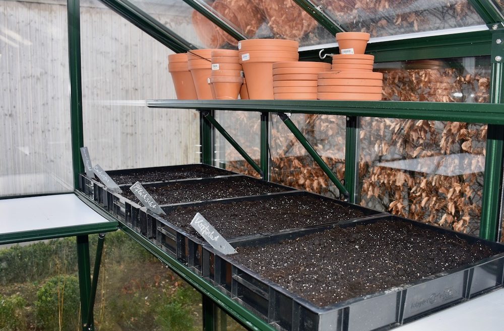 Gewächshaus - März - Anzucht - Anzuchtkisten - Salate - Franks kleiner Garten