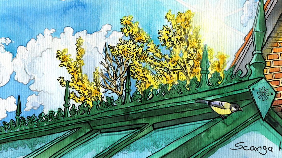 Gewächshaus - März - Illustration - Franks kleiner Garten