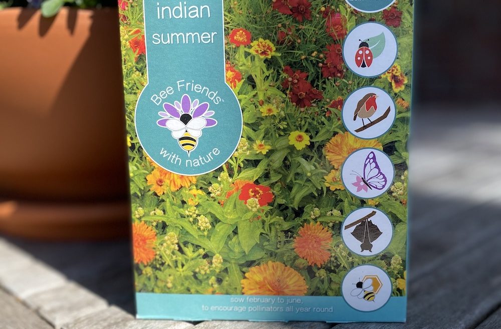 Saatgut - Saatgut-Shaker - Blumensamen - Samenmischung - indian summer - Cover - 2 - Shop - Franks kleiner Garten
