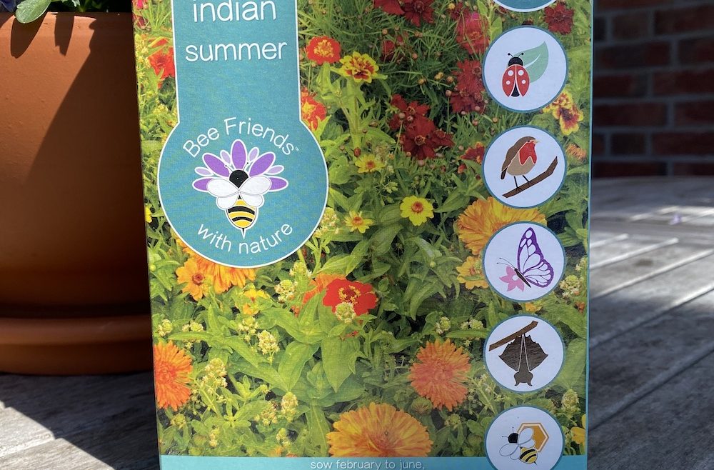Saatgut - Samenmischung - Saatgut-Shaker - Bee Friends - indian summer - Cover - Shop - Franks kleiner Garten