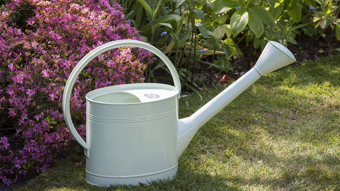 Sage Green - Burgon & Ball -Lifestyle - Franks kleiner Garten
