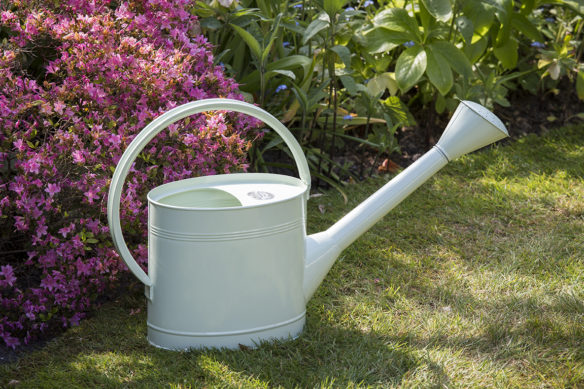 Sage Green - Burgon & Ball -Lifestyle - Franks kleiner Garten Sage Green - Burgon & Ball -Lifestyle - Franks kleiner Garten