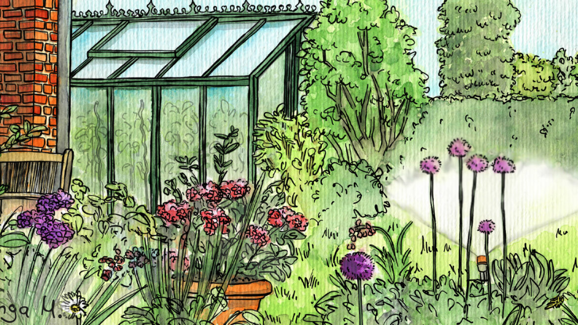 Gewächshaus - Illustration - Juli - 2020 - Franks kleiner Garten