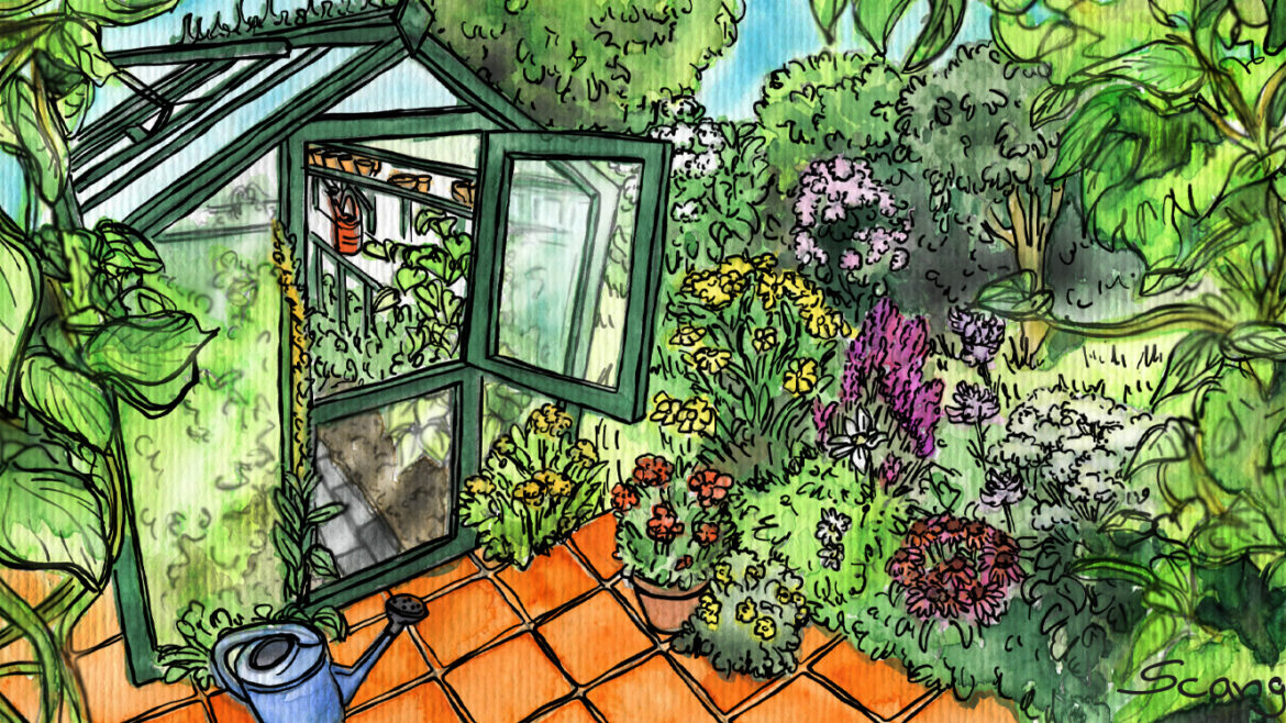 Gewächshaus - Illustration - August 2020 - Franks kleiner Garten