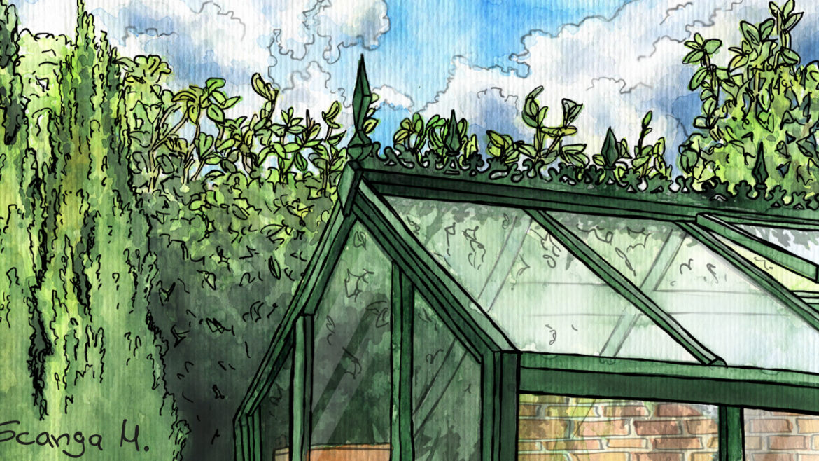 Illustration - September - Gewächshaus - Franks kleiner Garten