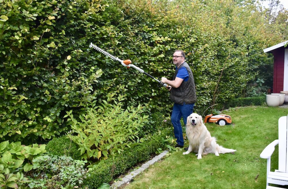Hecke - Heckenschnitt - Stihl - Herbst - Oktober - Bruno - Franks kleiner Garten
