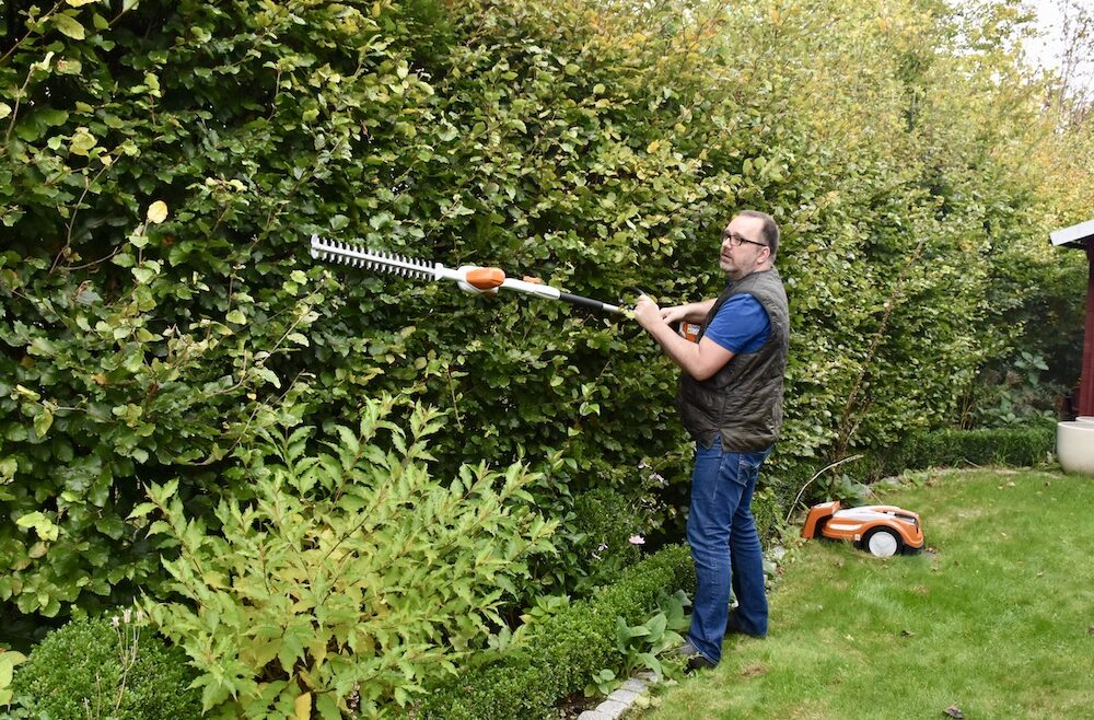 Hecke - Herbst - Heckenschnitt - Oktober - Franks kleiner Garten