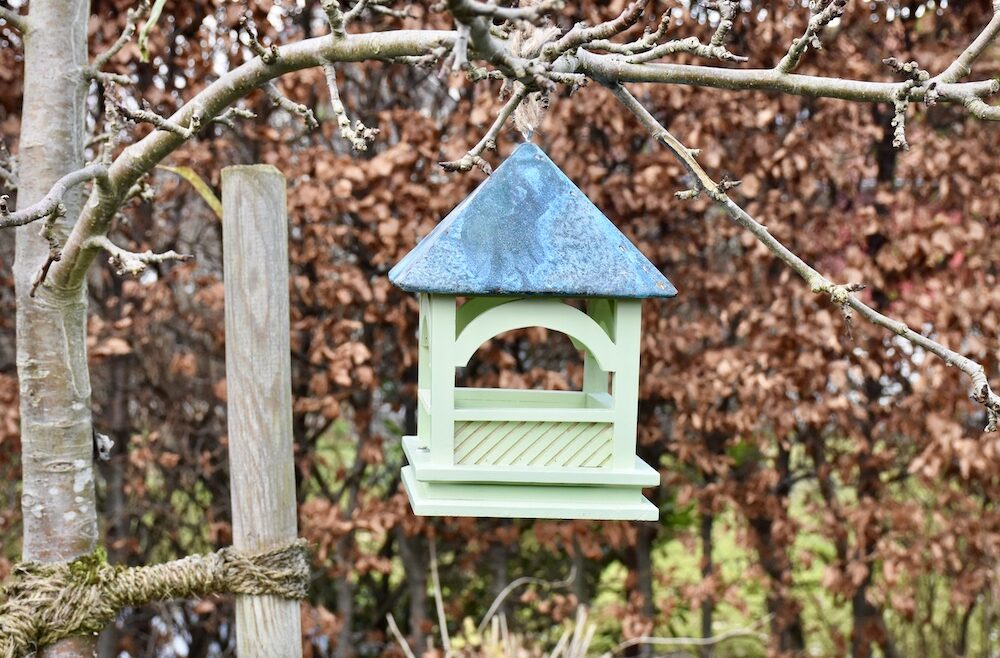 Futterstation - Wildlife World - kleine Vögel - Gartenshop - Franks kleiner Garten