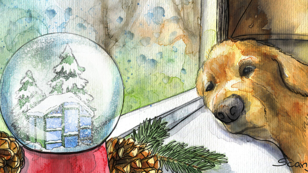 Kolumne - Bruno - Winter - Januar - Illustration