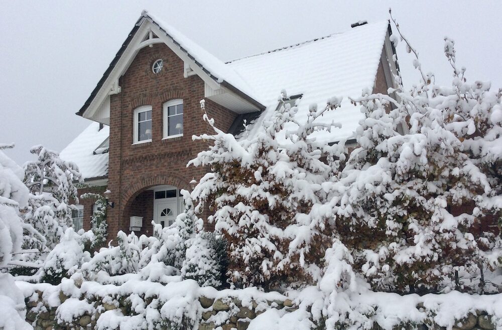 Winter - Schnee - Haus - Vorgarten - Januar - Franks kleiner Garten