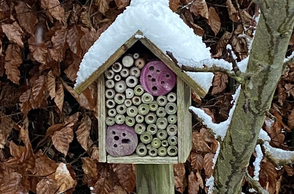 Kolumne - Winter - Insektenhotel - Schnee - Januar - 2021 - Franks kleiner Garten
