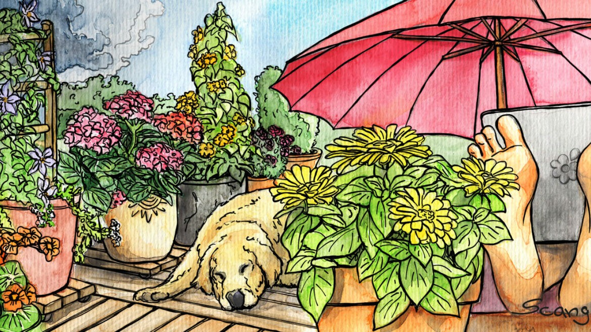 April - 2021 - Kolumne - Unwetter - rollende Gärten - Franks kleiner Garten