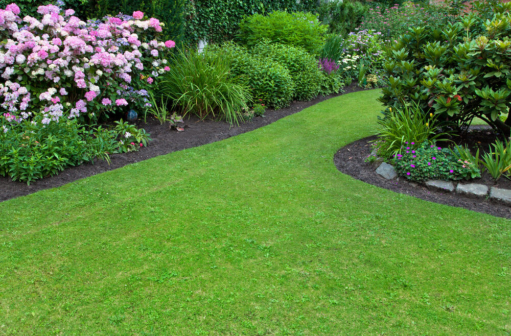 Stihl-Rasenluefter-Vertikutieren-Rasen-Gras-Frühling-Franks-kleiner-Garten