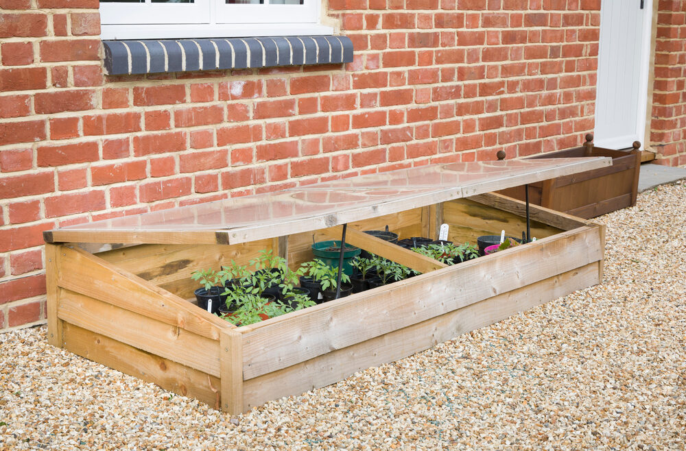Anzucht - Aussaat - Frühbeet - cold frame - Paul Maguire - Franks kleiner Garten.jpg