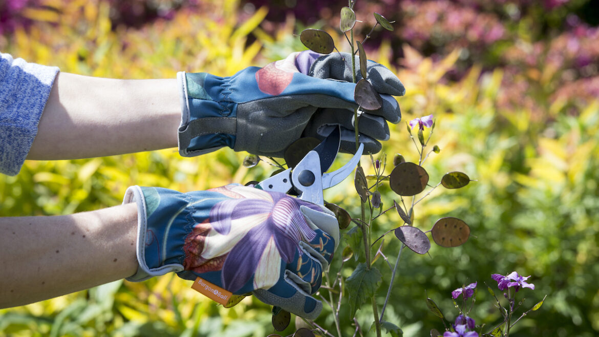 Gartenhandschuhe - Handschuhe - Passionsblume - Passiflora - Lifestyle -Burgon & Ball - Franks kleiner Garten