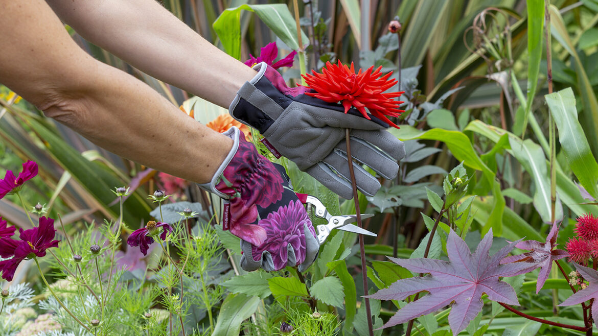 Gartenwerkzeug - Holster - Snipe - British Bloom - Lifestyle - Burgon & Ball - Franks kleiner Garten